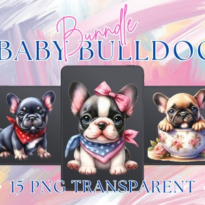 15 Französische Bulldogge Clipart PNG Bilder Clipart Welpen in verschiedenen Farben, einschließlich süßer Bulldoggen in Bechern sofortiger Download für die kommerzielle Nutzung