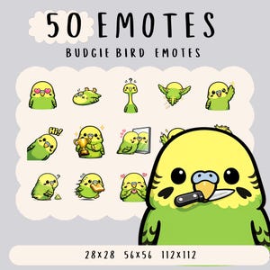 Puede incluir: Un conjunto de 50 emoticonos de Budgie Bird, con diversas poses y expresiones, incluyendo corazones, trofeos y un cuchillo. El texto "50 EMOTES" y "BUDGIE BIRD EMOTES" se muestra en la parte superior. Tamaños: 28x28, 56x56 y 112x112 píxeles.