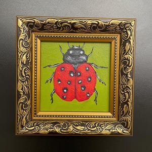 May include: A framed painting of a ladybug. The ladybug is red with black spots and a black head, set against a green background. The ornate frame is gold and dark brown.