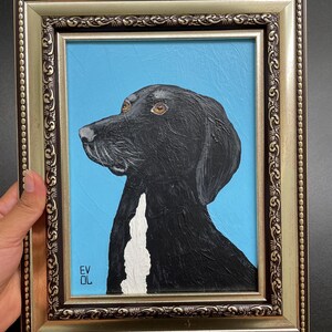 Puede incluir: Un cuadro enmarcado de un perro negro con una mancha blanca en el pecho sobre un fondo azul claro. El perro aparece de perfil mirando a la izquierda con ojos marrones. El marco es ornamentado, de color oro metálico y marrón oscuro.