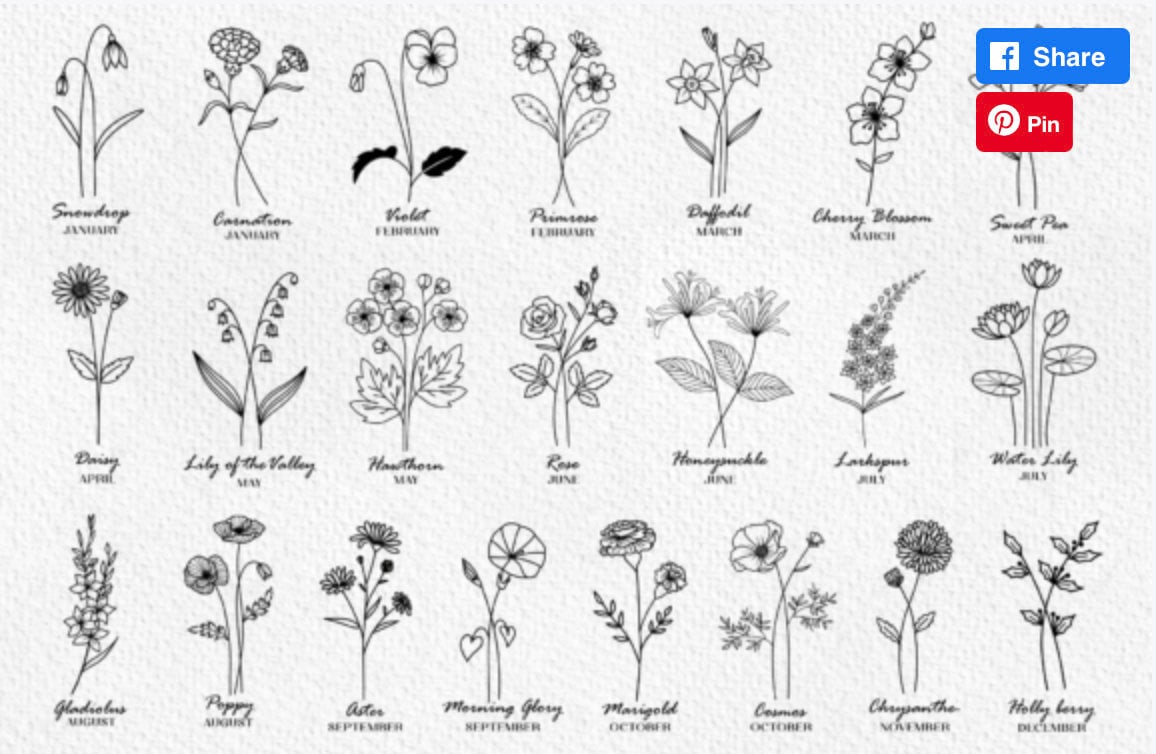 Birth Flower Svg Bundle Floral Clipart BirthMonth Svg Bundle  Flower Svg Birth Flower Svg Floral Svg  Botanical Svg  Rose Svg  Daisy Svg