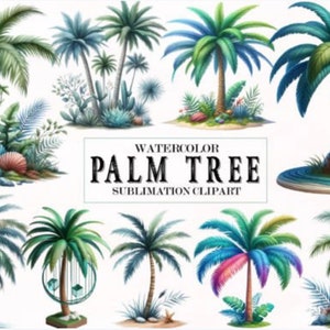 Watercolor Palm Tree Sublimation Clipart Palm tree png tropical island palms Palm on beach Palm Tree PNG Clipart Bundle Tropical PNG