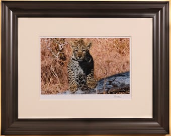 African Cheetah  #1 Signed Fine Art Photograph, Print Only