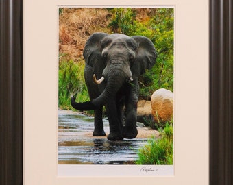 African Elephant  #2 Signed Fine Art Photograph, Print Only
