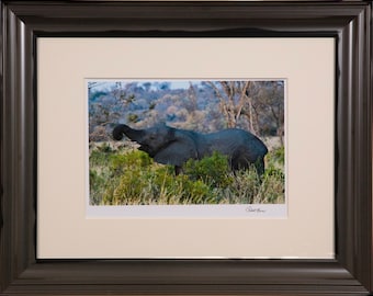 African Elephant  #1 Signed Fine Art Photograph, Print Only