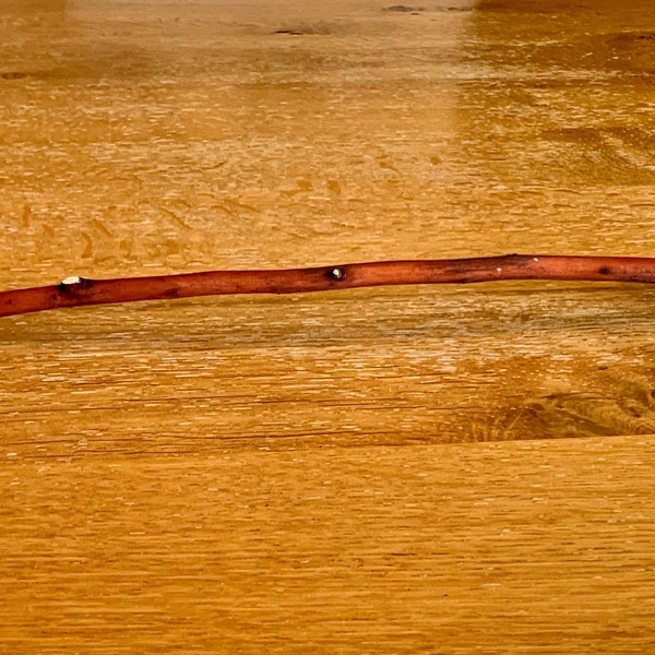 14" Red Madrone Driftwood Branch for Aquarium, Terrarium, Aquascape or Centerpiece