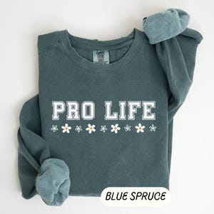 Pro Life Sweater Pro Life Sweatshirt Choose Life Shirt Pro Life Gift Cute Conservative Womens Shirt Catholic Sweatshirt Trump Prolife shirt