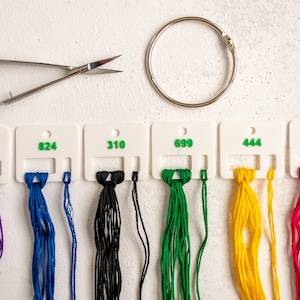 May include: Six spools of embroidery floss in different colors, including purple, blue, black, green, yellow, and red, are displayed on a white surface. The floss is labeled with numbers: 3837, 824, 310, 699, 444, and 600. A pair of embroidery scissors and a metal ring are also visible.