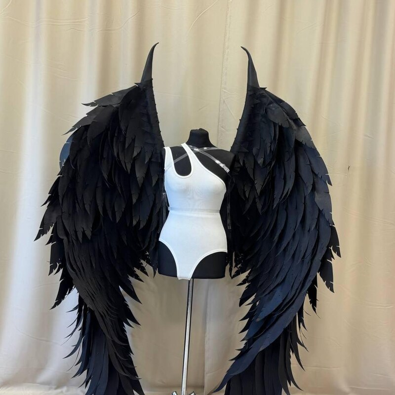 Fallen Dark Angel Costume main image 0