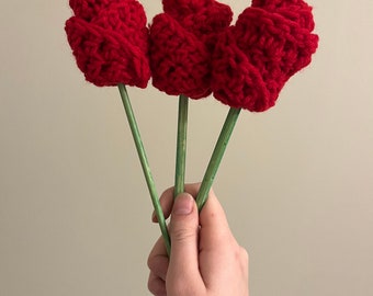 Roses au crochet, cadeau fleur fait main pour petite amie, petit ami, mari, femme, partenaire
