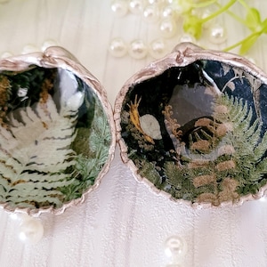 Decoupage kokkelschelp zout- en peperpotjes, Coastal Cruet Set