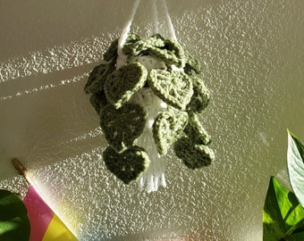 Crochet hanging plant