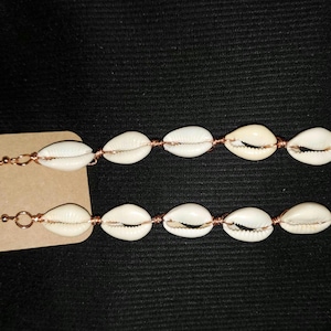 Cowrie shell Earrings