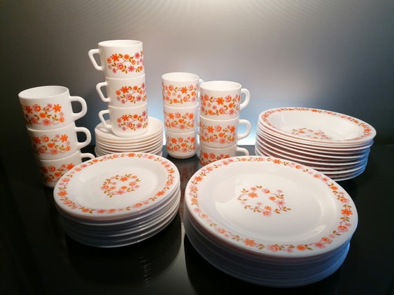 6 assiettes à dessert verre arcopal modèle scania vintage | Selency