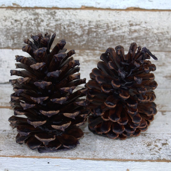 Fire Starter Pinecones 100% Beeswax Midnight Plum Large - Pack of 2