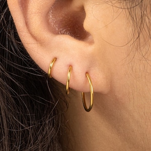 Titanium Hinge Hoop,Stacking Hoop Earrings Set,Simple Huggie Hoops,Cartilage Hoop,Thin Hoop Earrings,Nose Ring,Piercing Hoop,Conch,Helix