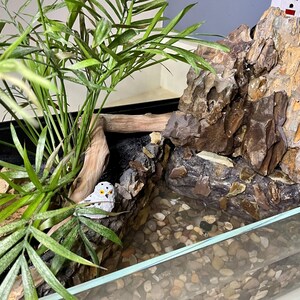 Terrarium Waterfall Rocks Terrarium With Real Rock Waterfall, Pond, and Live Plants - Etsy