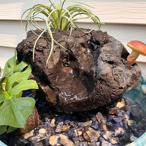 May include: A decorative water fountain with a dark brown rock feature, a small mushroom, and greenery. The fountain sits in a blue and white glass bowl filled with blue and gray stones. The fountain has a small air plant.