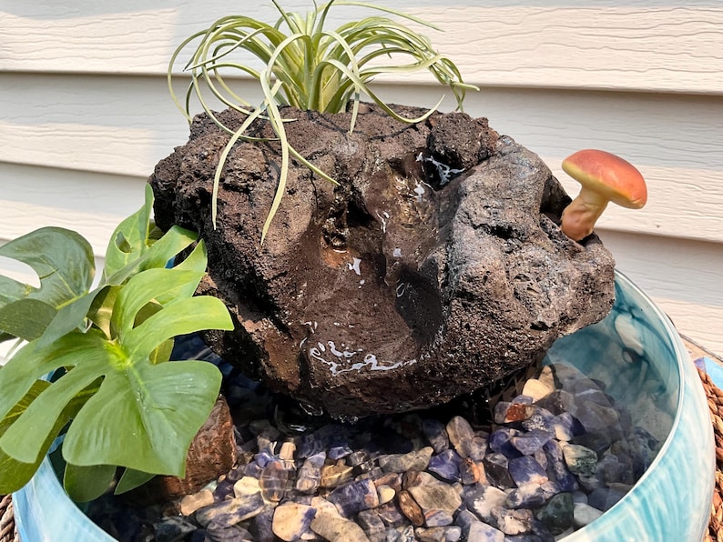May include: A decorative water fountain with a dark brown rock feature, a small mushroom, and greenery. The fountain sits in a blue and white glass bowl filled with blue and gray stones. The fountain has a small air plant.