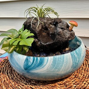 May include: A decorative indoor water fountain featuring a dark, textured rock formation with a small mushroom accent. The rock sits in a blue and white swirled glass bowl, with green plants and a small air plant. The bowl rests on a woven mat.