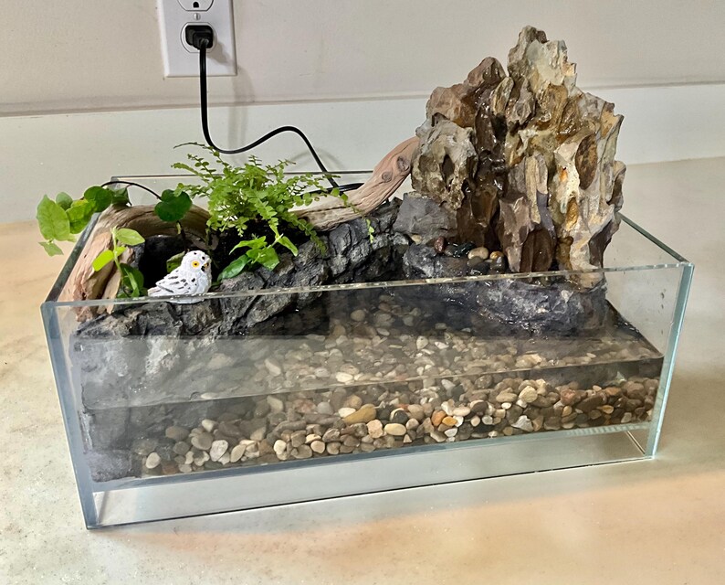 Terrarium Waterfall Rocks Terrarium With Real Rock Waterfall, Pond, and Live Plants - Etsy