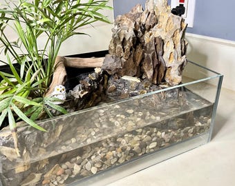 Terrarium with real rock waterfall, pond, and live plants