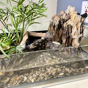 Terrarium Waterfall Rocks Terrarium With Real Rock Waterfall, Pond, and Live Plants - Etsy