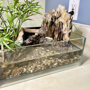 Terrarium Waterfall Rocks Terrarium With Real Rock Waterfall, Pond, and Live Plants - Etsy