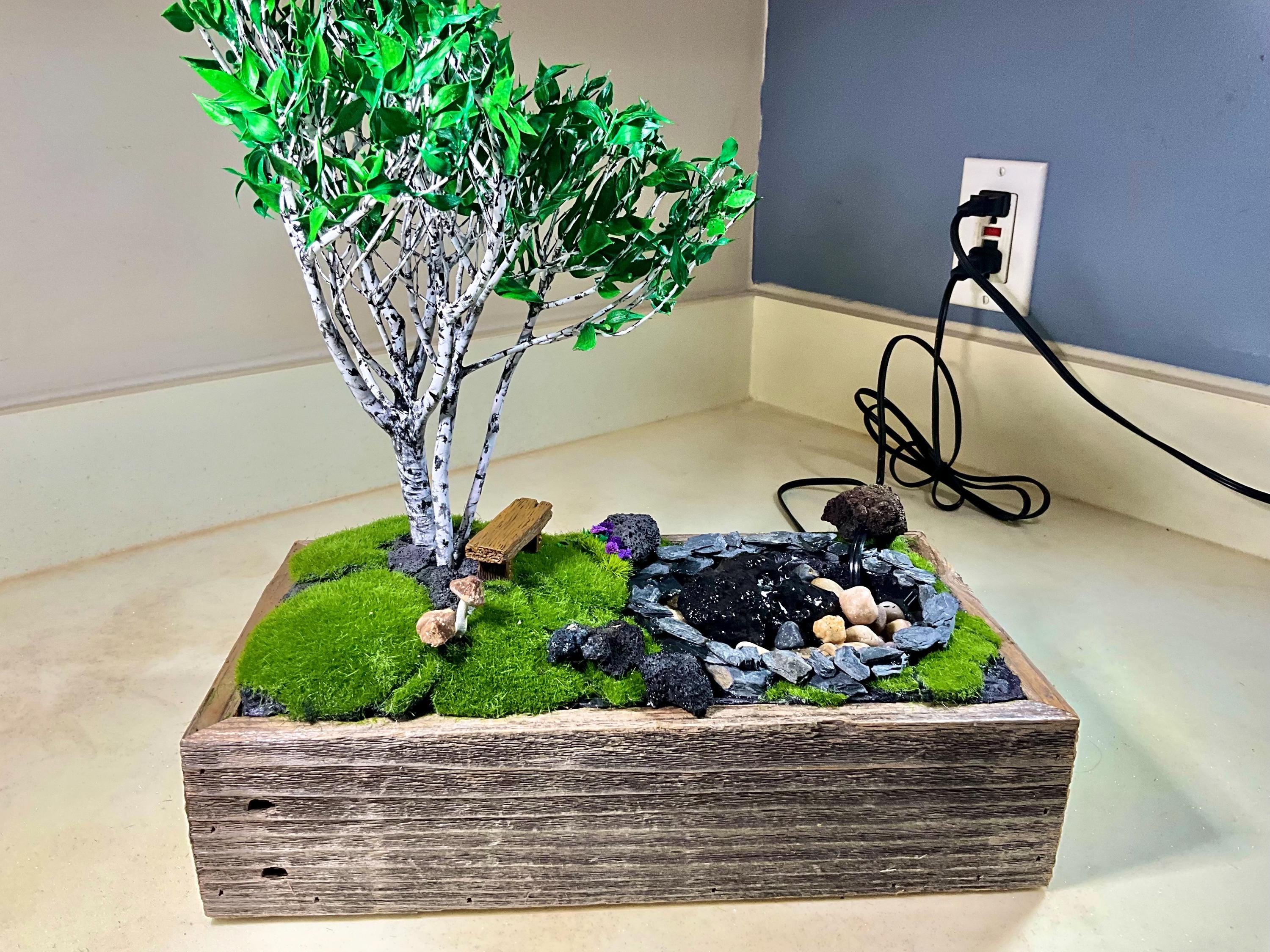 zuckerhutfichte bonsai Zuckerhut-Fichte - Picea glauca Conica
