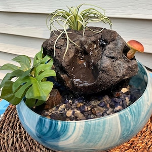 May include: A decorative indoor water fountain with a natural rock feature, a small mushroom, and lush green plants. The fountain sits in a blue and white swirled ceramic bowl filled with small stones.