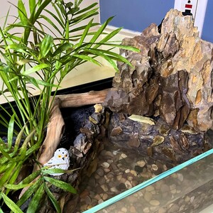 Terrarium Waterfall Rocks Terrarium With Real Rock Waterfall, Pond, and Live Plants - Etsy