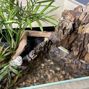 Terrarium Waterfall Rocks Terrarium With Real Rock Waterfall, Pond, and Live Plants - Etsy