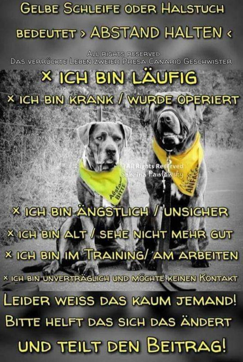 Dreieck Tücher, personalisierte Tücher, bestickte Hundetücher, Warntücher, Namenstücher, gelbe Schleifen, Warn Tuch, Hunde Halstuch, Hund Bild 2