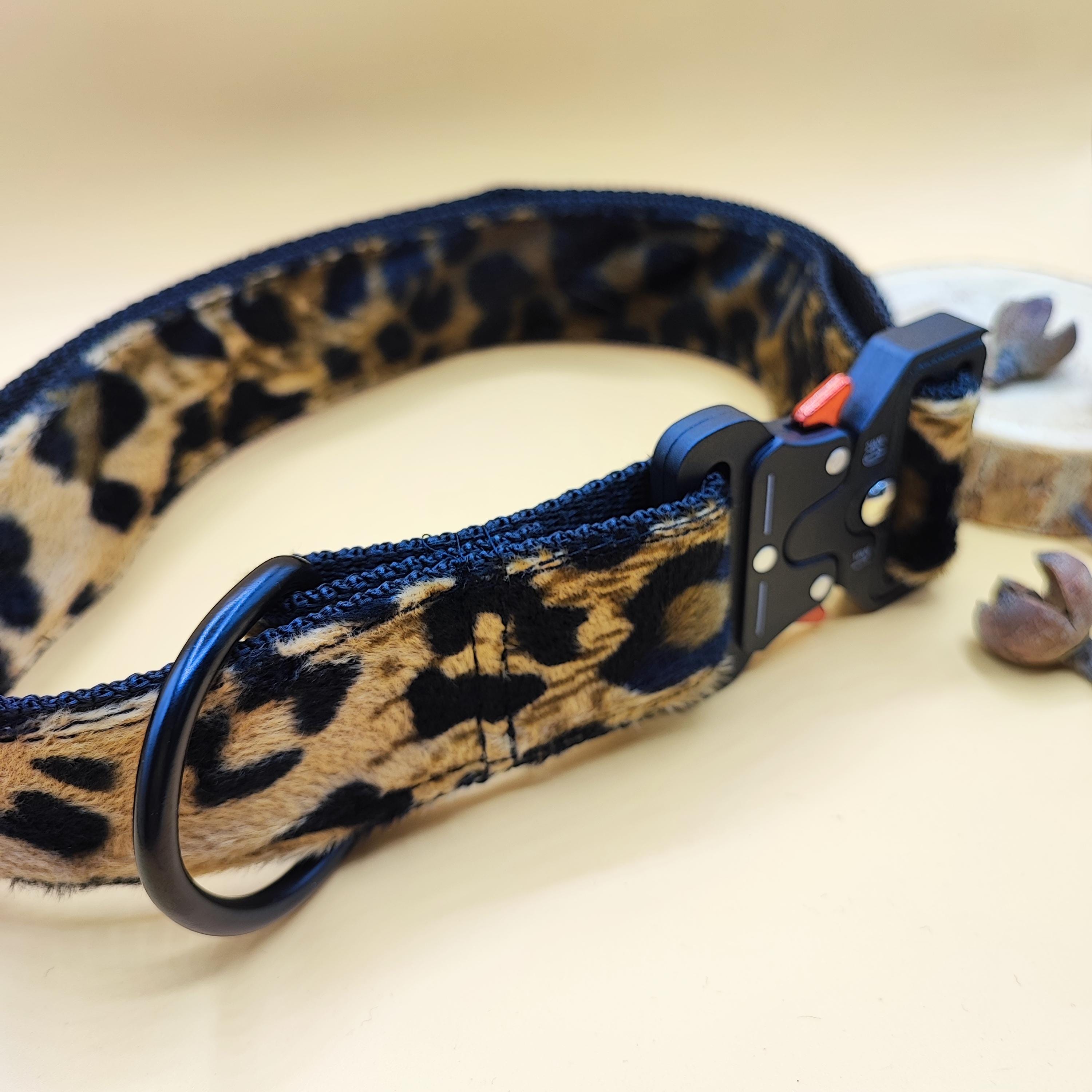hundeanhänger halsband Halsband für kleine Hunde & Welpen - Made in Germany main image 0