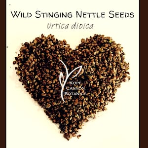 May include: A heart-shaped pile of brown stinging nettle seeds, labeled "WILD STINGING NETTLE SEEDS Urtica dioica" and "KOPE CANYON BOTANICS".