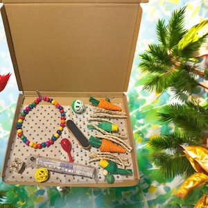 Pet Bird Gift Present Pack, Bird Toy Gifts, Parrot, Conure, Cockatiel, Budgie, Food, Present for bird, gift, Personalised option birthday