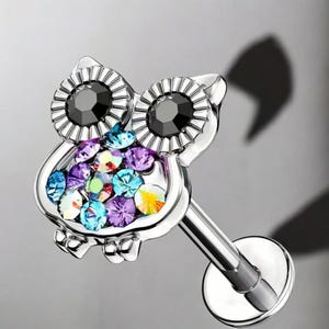 Hand Posted- 316 Stainless Steel Owl Labret Ear Cartilage Studs, 8mm Bar, Tragus Nose Helix Earring  Dainty, Minimalist, Internally Threaded