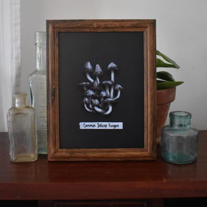 May include: A framed print of a cluster of common inkcap mushrooms, with a black background and the text "Common Inkcap Fungus" at the bottom.