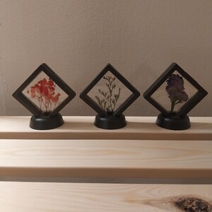 Arte de flores secas