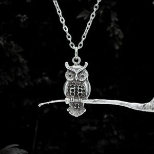 Silver Plated Owl Necklace for Women, Unique Boho Jewelry, Gift for Nature Enthusiasts, Bird Lovers, and Fans of Vintage Style Accessories
