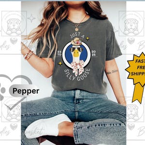バカンス・グースTシャツ、面白い鳥Tシャツ、コンフォートカラーのグラフィックシャツ、風変わりな動物柄トップス、サングラスをかけたクールな鳥、ユニセックスのガーメントダイTシャツ