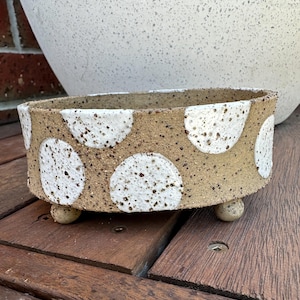 Könnte beinhalten: Ein gesprenkelter Keramik-Pflanztopf mit beigefarbenem Grund und großen weißen Tupfen. Der Pflanztopf hat drei kleine Kugelfüße und eine abgerundete ovale Form. Im Hintergrund befindet sich ein großer weißer Topf.