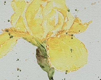 Giclée print,Impressionist,Art,Watercolor,Floral art,Iris