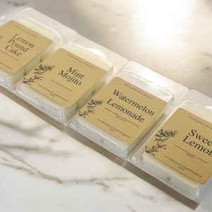 Summer Soy Wax Melts, Choose Scent, Soy Wax Tarts, 100% Soy Wax Melt, Clamshell Melts, Melts for Warmer, Long Lasting, Hand Poured