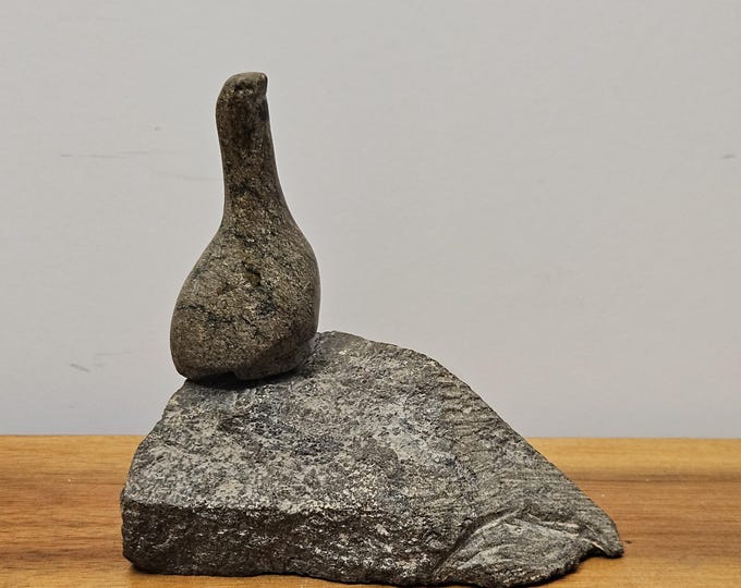 Carved Polished Granite Stone Bird on Rough Cut Rock Base (duck ...
