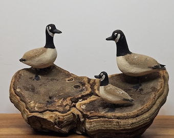 Puede incluir: Tres figuras de ganso canadiense pintadas a mano con cuellos negros, manchas blancas en las mejillas y cuerpos de color tostado. Los gansos están montados sobre un hongo de árbol grande, texturizado, marrón y tostado con anillos de crecimiento visibles.