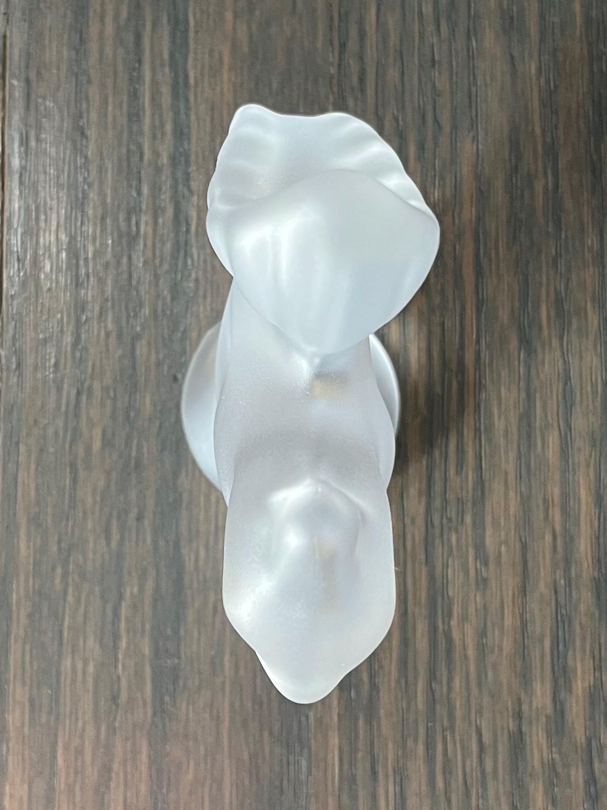 Cristal De Sevres Frosted Crystal Squirrel - Made in France 4