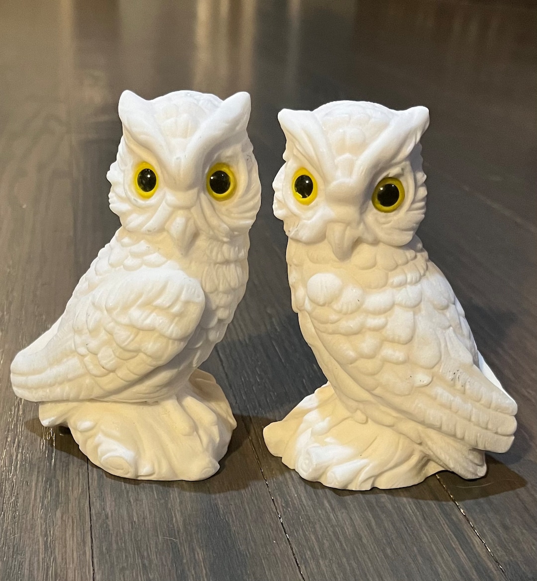 Alabaster White Vintage Italian Salt Stone Owl Figurines (set of 2