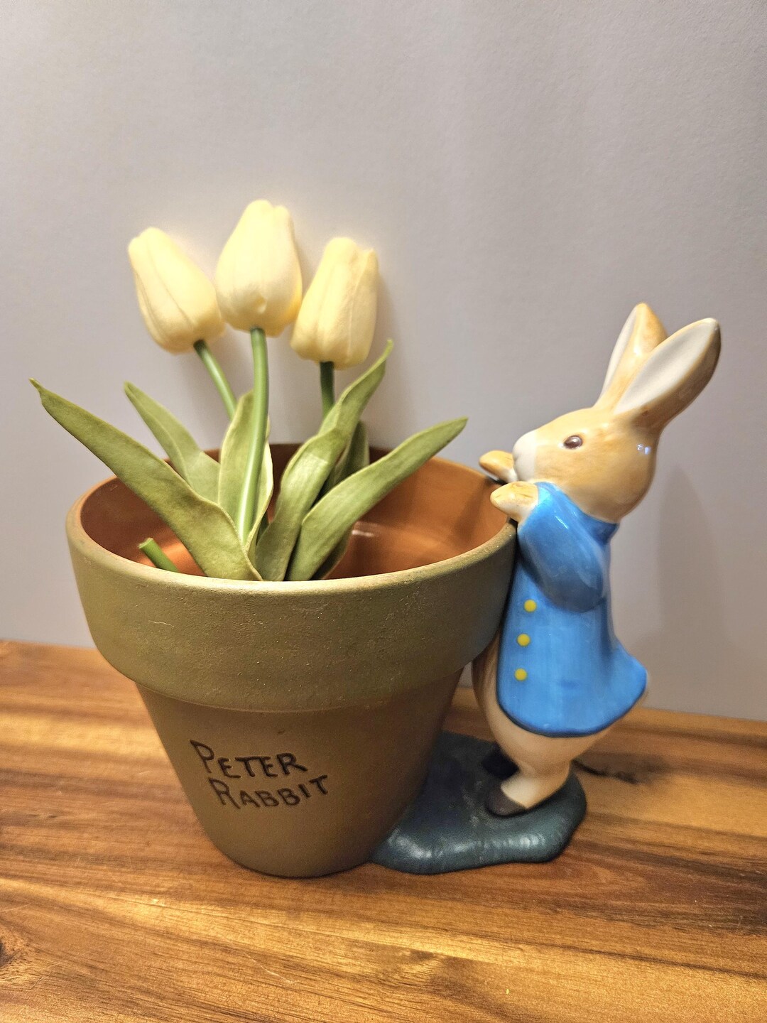 Peter Rabbit Beatrix Potter Bunny Terra Cotta Planter Figurine ...