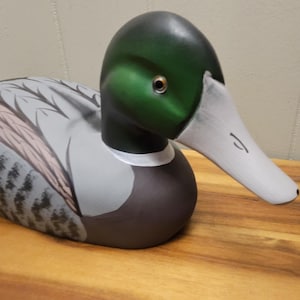 May include: A hand-painted wooden duck decoy. The duck has a green head, white beak, and a white collar. The body is painted in shades of gray, brown, and white, with detailed feather patterns. The decoy is resting on a wooden surface.